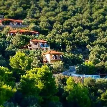 Garden 4* Skiathos-Stadt